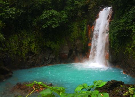 Rio Celeste Waterfall Hike And Animal Sanctuary Tamarindo Transfers