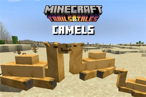 Camels In Minecraft 120 Everything You Need To Know