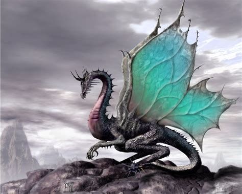 Dragons Noirs Les Dragons Noirs Dragon Art Dragon Pictures