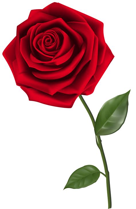 Single Red Rose Png Clipart Image Gallery Yopriceville High Quality