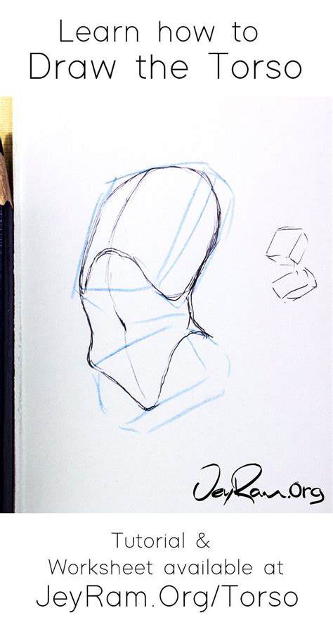 How To Draw The Torso Step By Step Tutorial Body Drawing Tutorial