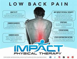 Low Back Impact Physical Therapy