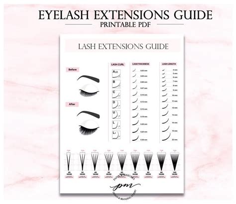 Lash Extensions Guide Printable Eyelash Extensions Technician Guide
