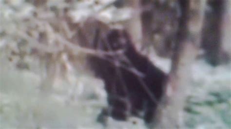 Iowa Bigfoot Captured On Film2016 Youtube