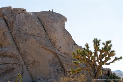 20 Best Things To Do In Joshua Tree National Park The Whole World Is