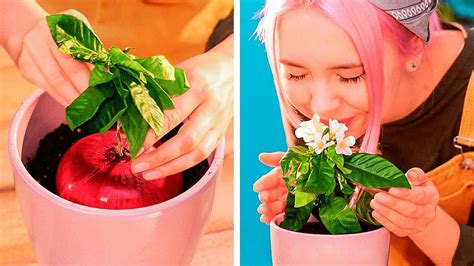 50 incredible gardening hacks you ll find extremely useful