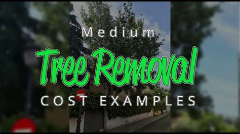 Maybe you would like to learn more about one of these? Medium Tree Removal Cost Examples - YouTube