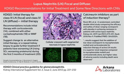 Lupus Nephritis Treatment And Definitions Kdigo Connections