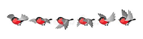 Bird Movement Animation Stock Vector Illustration Of Cycle 233542636