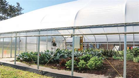 How to make a diy greenhouse | i like to make stuff. Diy Greenhouse Ventilation / Diy Greenhouse Ana White / .a ...