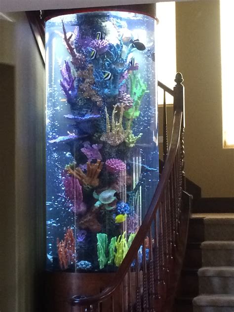 Cylindrical Aquarium With Faux Reef - Aquarium Maintenance