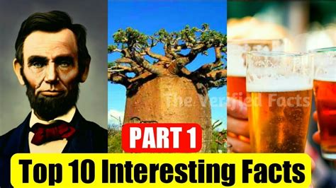 Top 10 Interesting Facts Amazing Facts Interesting Facts