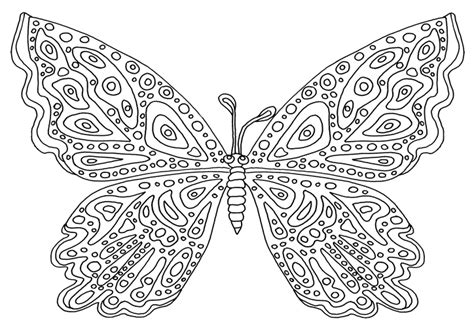 Farfalla Disegno Da Colorare Difficile Disegni Da Colorare E Stampare