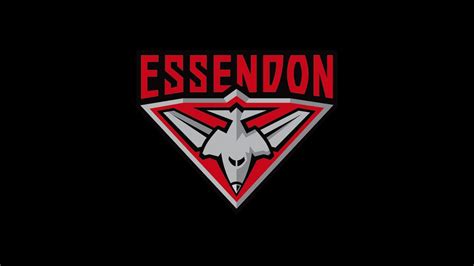 From the42 next chapter this post contains videos. 2020 AFL preview: Essendon Bombers team guide | finder.com.au