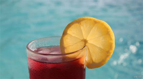 La recette du Tinto de Verano un cocktail pétillant et populaire venu
