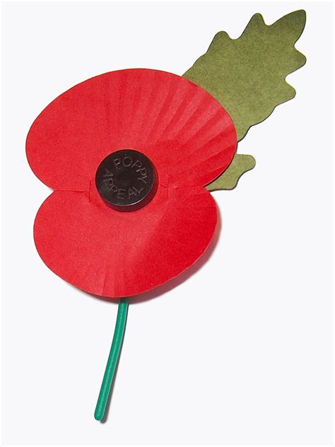 Fileroyal British Legions Paper Poppy White Background Wikipedia