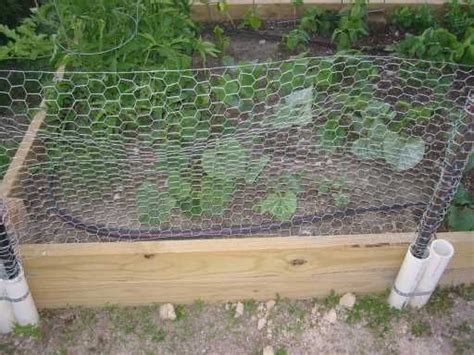 Check spelling or type a new query. Pin on Small Budget Gardening