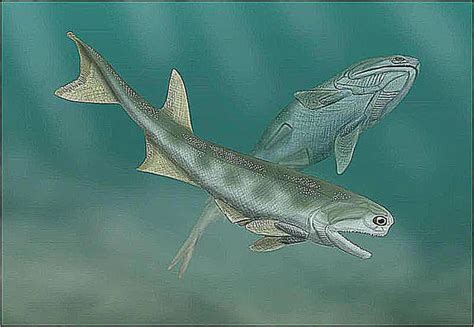 Pictures And Profiles Of Prehistoric Fish