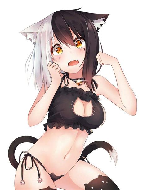Image Cat Girl Original Characters Anime Anime Girls Nekomimi
