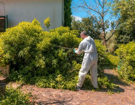 Premium Photo Man Trimming An Hedge