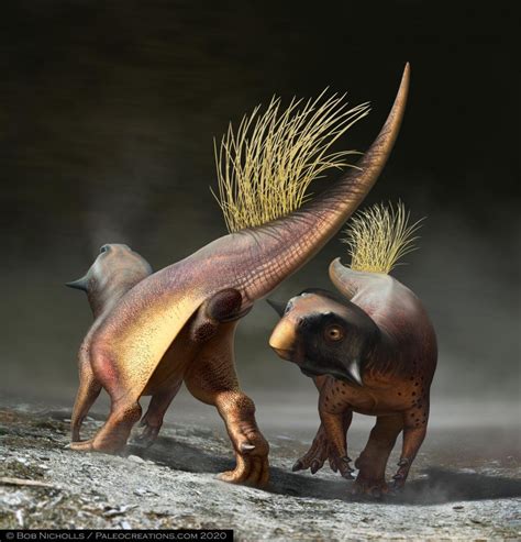 Paleontologists finally take their first good look at the back of a