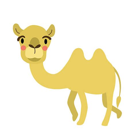Royalty Free The Wild Bactrian Camel Clip Art, Vector ...