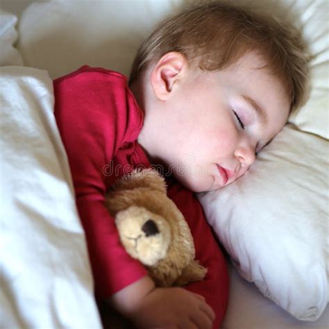 850 Girl Sleeping Teddy Bear Toy Bed Home Stock Photos Free And Royalty