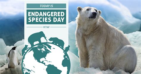 Endangered Species Day May 21 Ivet360 Social Calendar