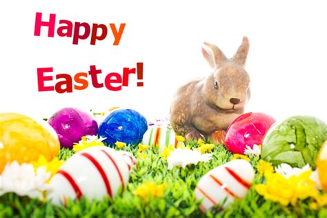 Happy Easter Holidays | Greenfields Garden Services