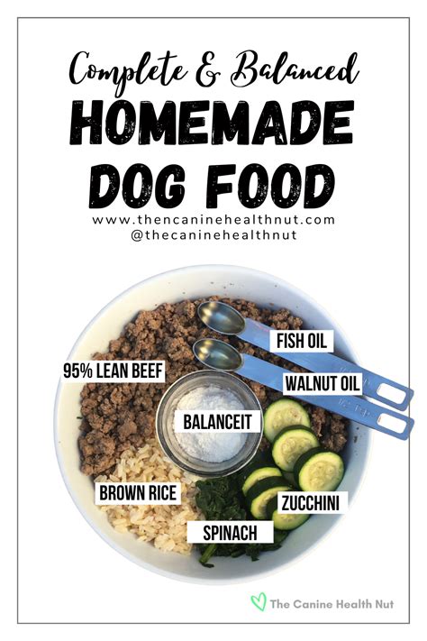 Homemade Dog Food Recipes Supplements Great Recipes Ever