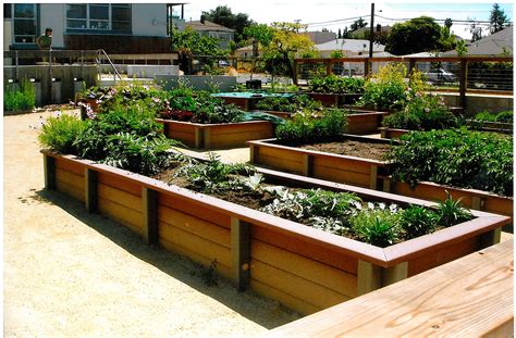 Outdoor And Patio How To Build Greenland Gardener Raised Newest Above
