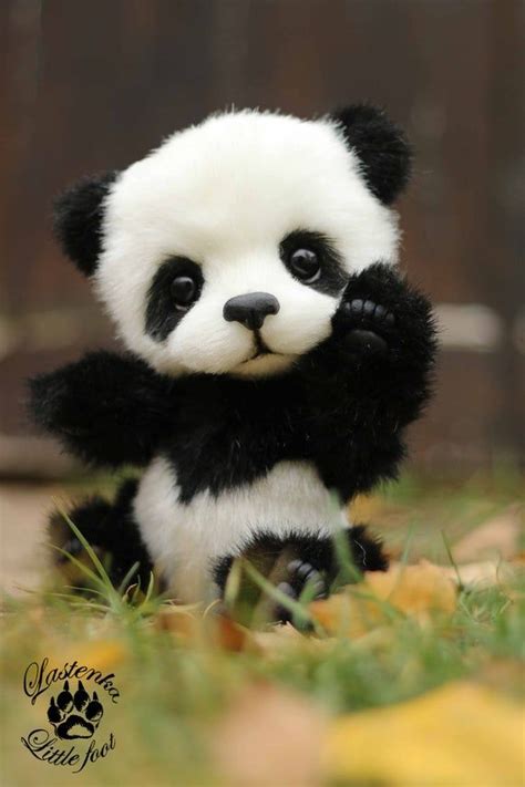 Sep 18, 2017 · cute baby panda | we provide thousands of cute animal pictures, gifs, videos on demand! Pin en Cute baby pandas