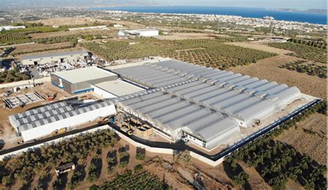 The technologies helping move agriculture indoors - ISRAEL21c