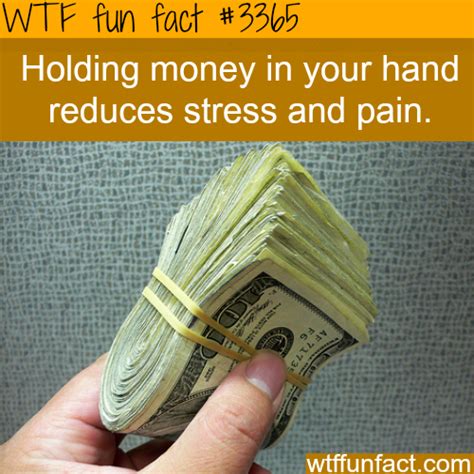 Holding Money Can Make You Happier Wtf Fun Facts Wtf Fun Facts True