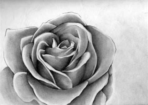 In this drawing tutorial i am drawing a realistic rose using coloured pencils step by step. 22+ Rose Drawings , Art Ideas | Design Trends - Premium ...