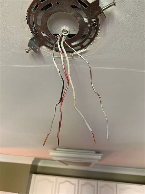 How To Wire A Ceiling Light With 4 Wires Uk Shelly Lighting