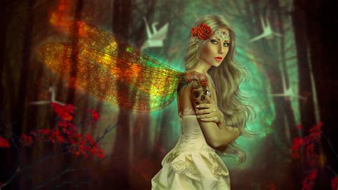 Fairy Queen In The Forest Hd Wallpaper Background Image 1920x1083