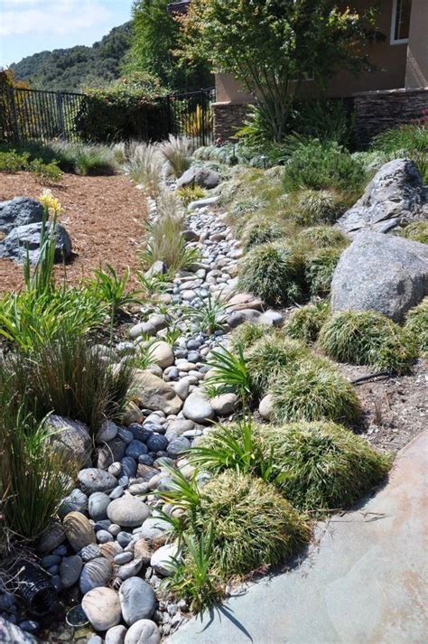 Dry Creek Bed Landscaping Designs Grasses In Dry Creek Bed Dry