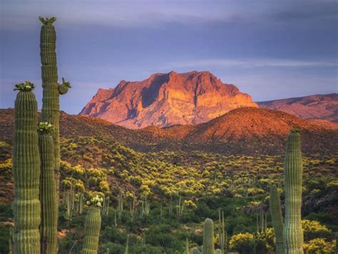 Best Things To Do In Tucson Arizona