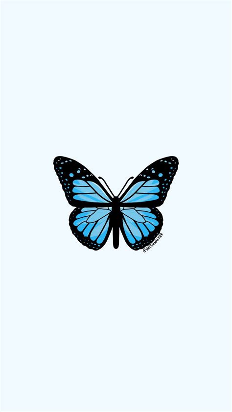 Butterfly patch in 2020 butterfly drawing, aesthetic stickers 8 things to do in valle de bravo mexico aesthetic gif, blue aesthetic, butterfly wallpaper. Light Blue Butterfly in 2020 | Butterfly wallpaper iphone, Blue butterfly wallpaper, Blue ...