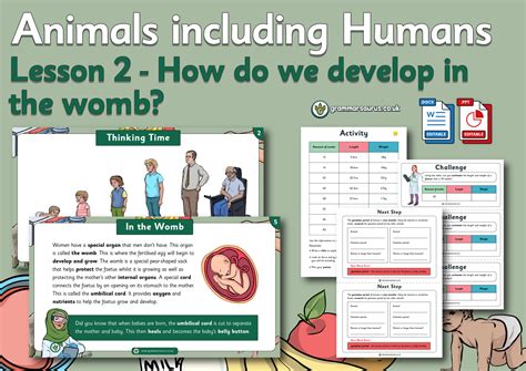Year 5 Science Animals Including Humans How Do We Develop In The