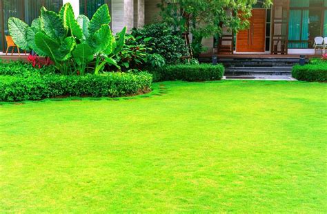 What's The Difference Between Lawn, Yard, Turf, And Garden?