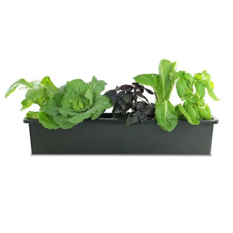 These low cost pvc window boxes are often used as liners for wood window boxes. Pennington Plastic Liner for 30 in. Window Box-100507830 ...