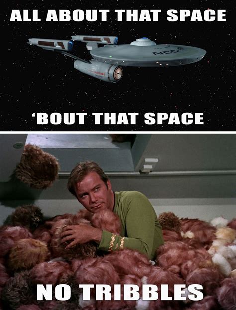 Because Im All About That Space No Tribbles Star Trek Star Trek