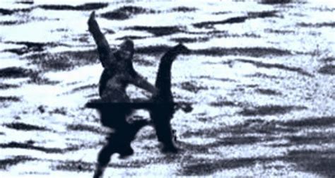 Top 10 Most Famous Bigfoot Sightings Weird Darkness