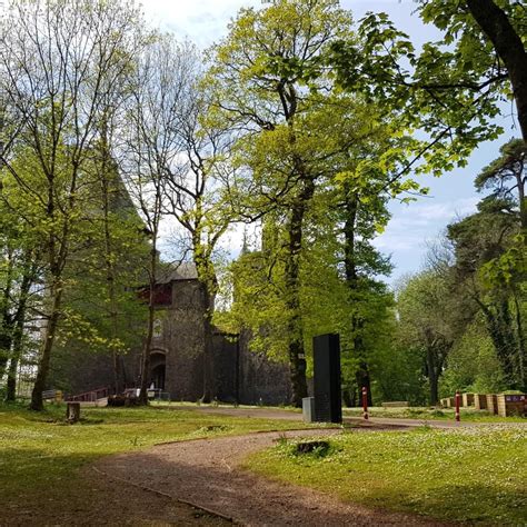 We did not find results for: Brilliant visit to Castle Coch today Lots of steps with ...