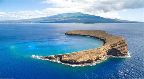 Molokini Crater Snorkeling Guide In Maui Hawaii 2024