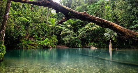 Top 10 Most Beautiful Jungles Of The World Updated 2021 Phenomenal