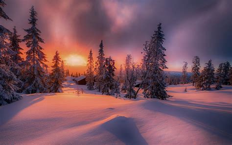 Nature Landscape Forest Sunset Cottage Winter Snow Trees Cold Clouds Norway Yellow