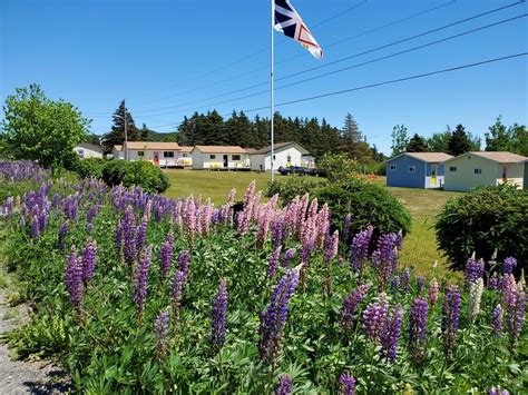 sandy cove beach housekeeping cabins contact us